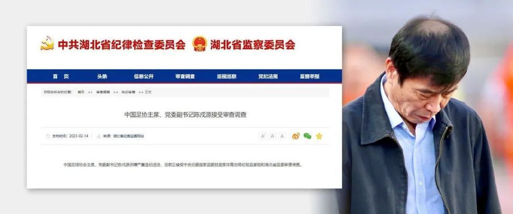精品久久久久久国产