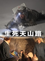 久久精彩