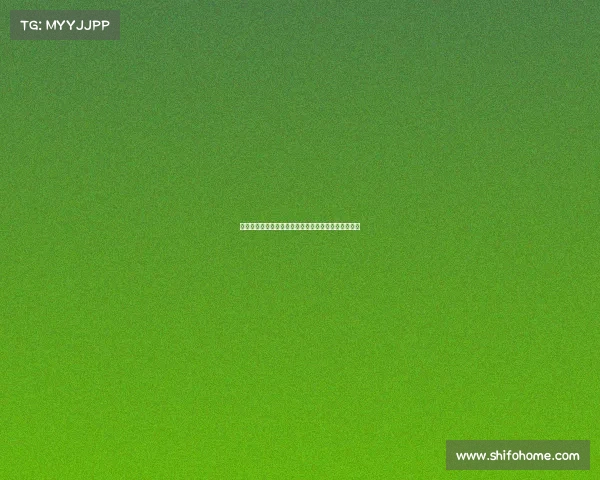 西甲联赛黄牌榜分析：哪些球员因频繁犯规频频领黄牌