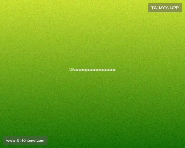 CBA球员投篮命中率分析与趋势探讨：技术进步与比赛风格的影响