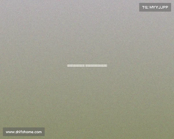 英超年轻球员崛起势头强劲 新一代足球天才引领未来发展趋势